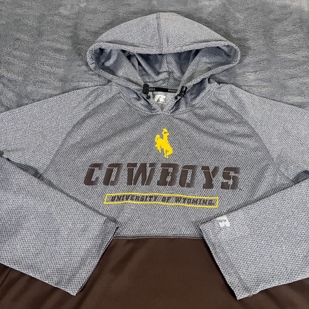 Russell Athletic University of Wyoming Cowboys Hoodie Mens Large Gray Brown L/G